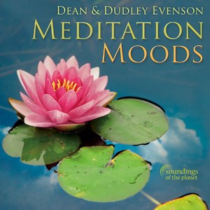 娇妻被交换黑人又大又粗又硬
