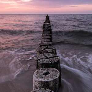 娇妻被交换黑人又大又粗又硬
